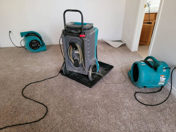 Best Professional water damage repair  in Sturgis, SD