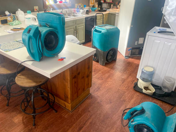 Best Water damage restoration company  in Sturgis, SD