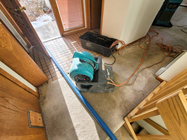 Best Flood restoration services  in Sturgis, SD