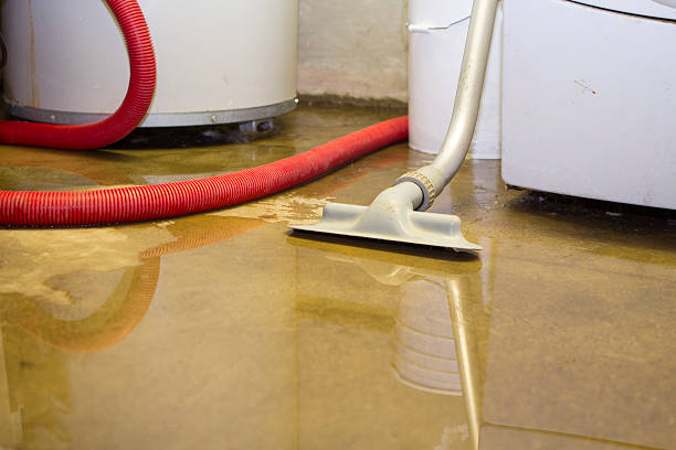 Best Local water damage restoration  in Sturgis, SD