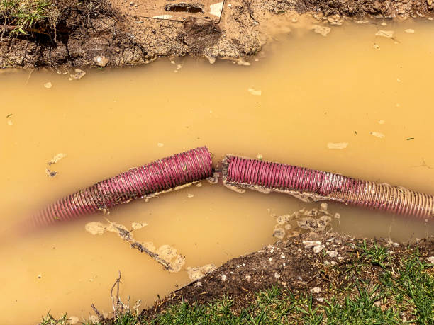 Best Mold removal after water damage  in Sturgis, SD